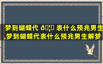 梦到蝴蝶代 🦊 表什么预兆男生,梦到蝴蝶代表什么预兆男生解梦